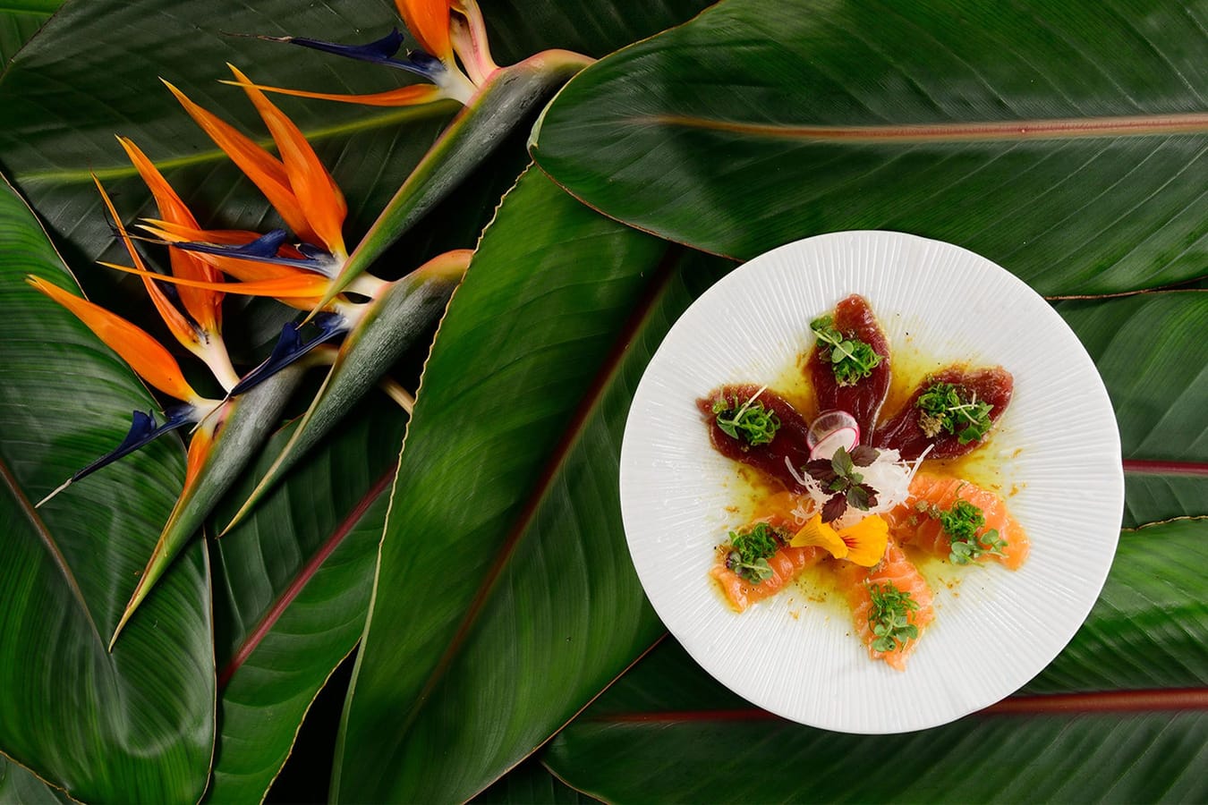 Sushi Beach Ristorante Mare Hotel Savona 09