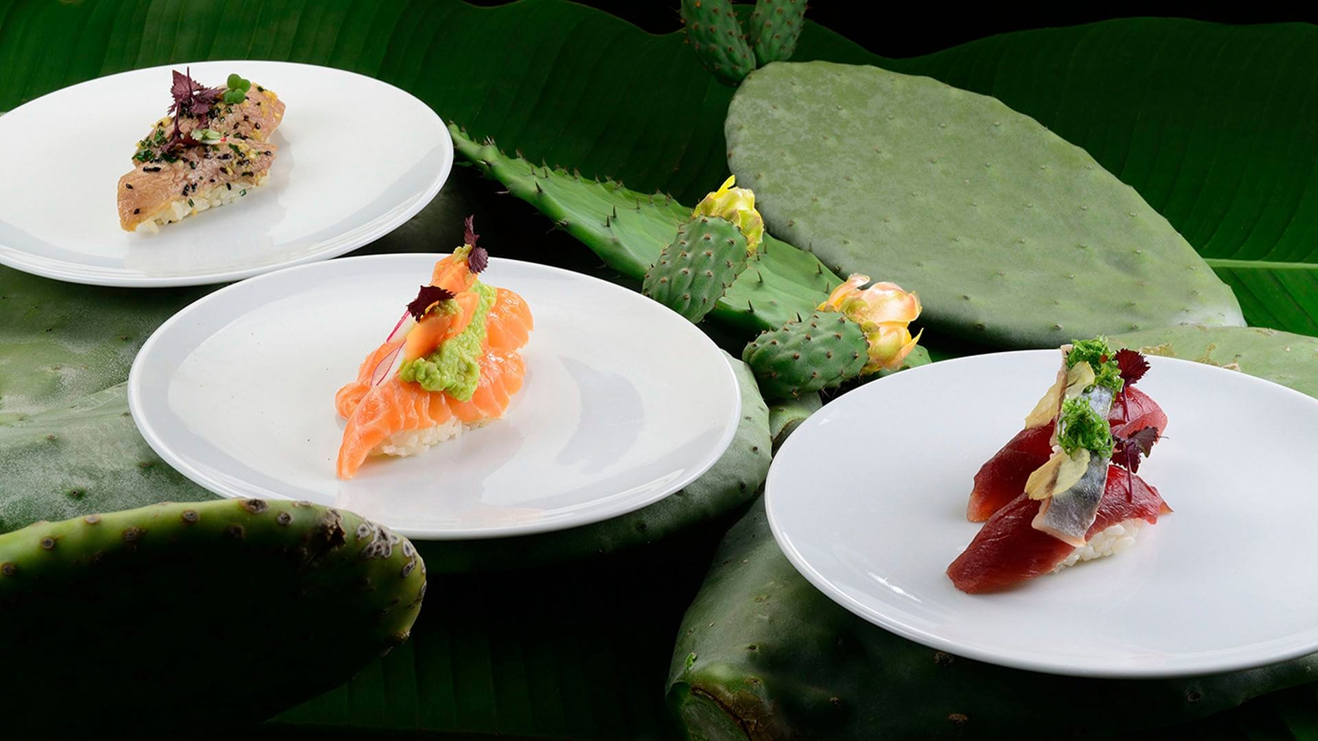 Sushi Beach Ristorante Mare Hotel Savona 01