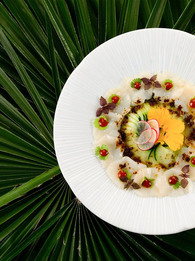 Sushi Beach Ristorante Mare Hotel Savona 010