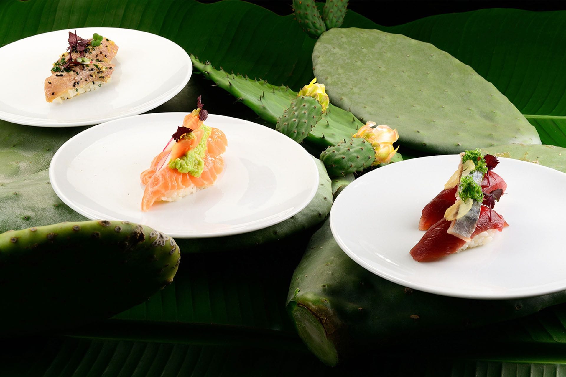 Sushi Beach Ristorante Mare Hotel Savona 08
