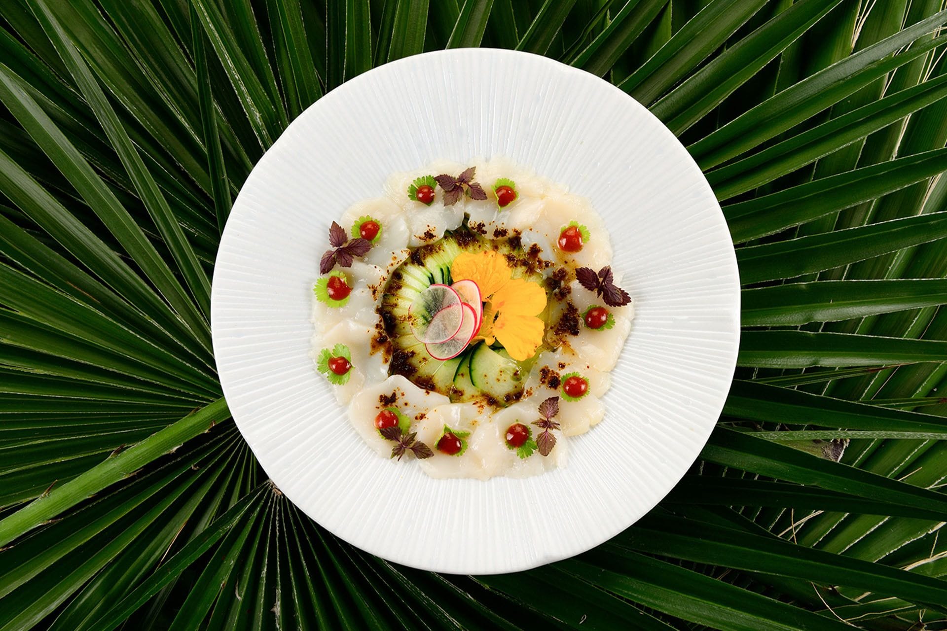 Sushi Beach Ristorante Mare Hotel Savona 020