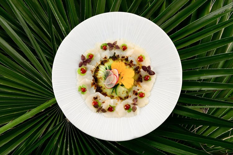 Sushi Beach Ristorante Mare Hotel Savona 020